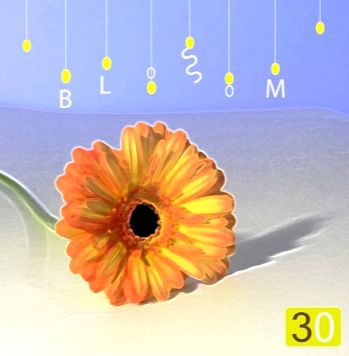 아침에 듣기 좋은 평화로운 피아노 BGM (순수, 피아노)