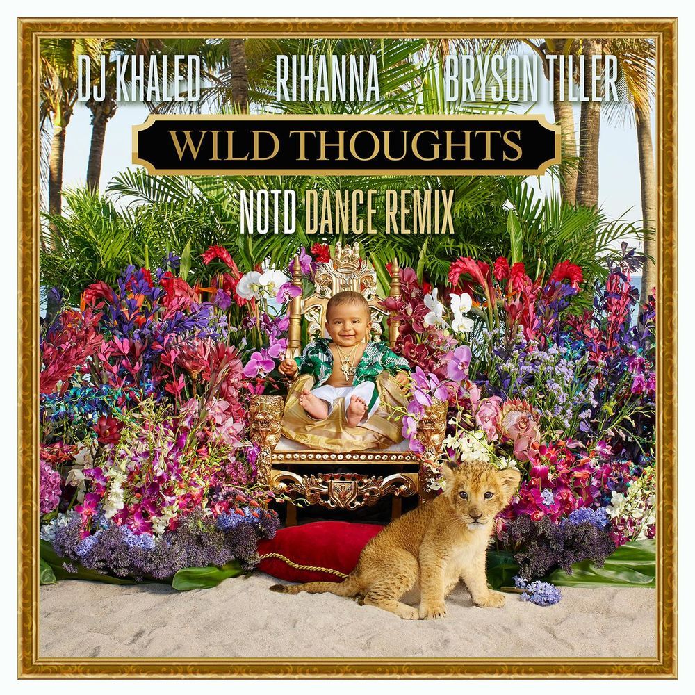 DJ Khaled - Wild Thoughts (Feat. Rihanna & Bryson Tiller) (NOTD Remix) (신남, 활기, 흥겨움, 흥함, 일렉, 격렬, 비트, 리믹스)