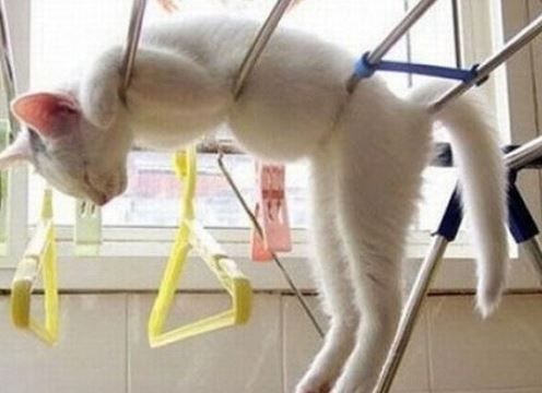 기분좋은 일상 BGM (일상, 활기)