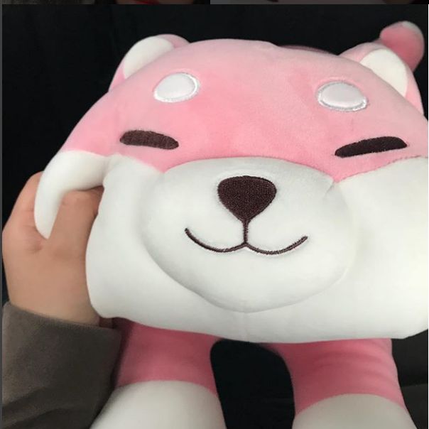 아프리카BJ 겁상실소녀 땐석기강의