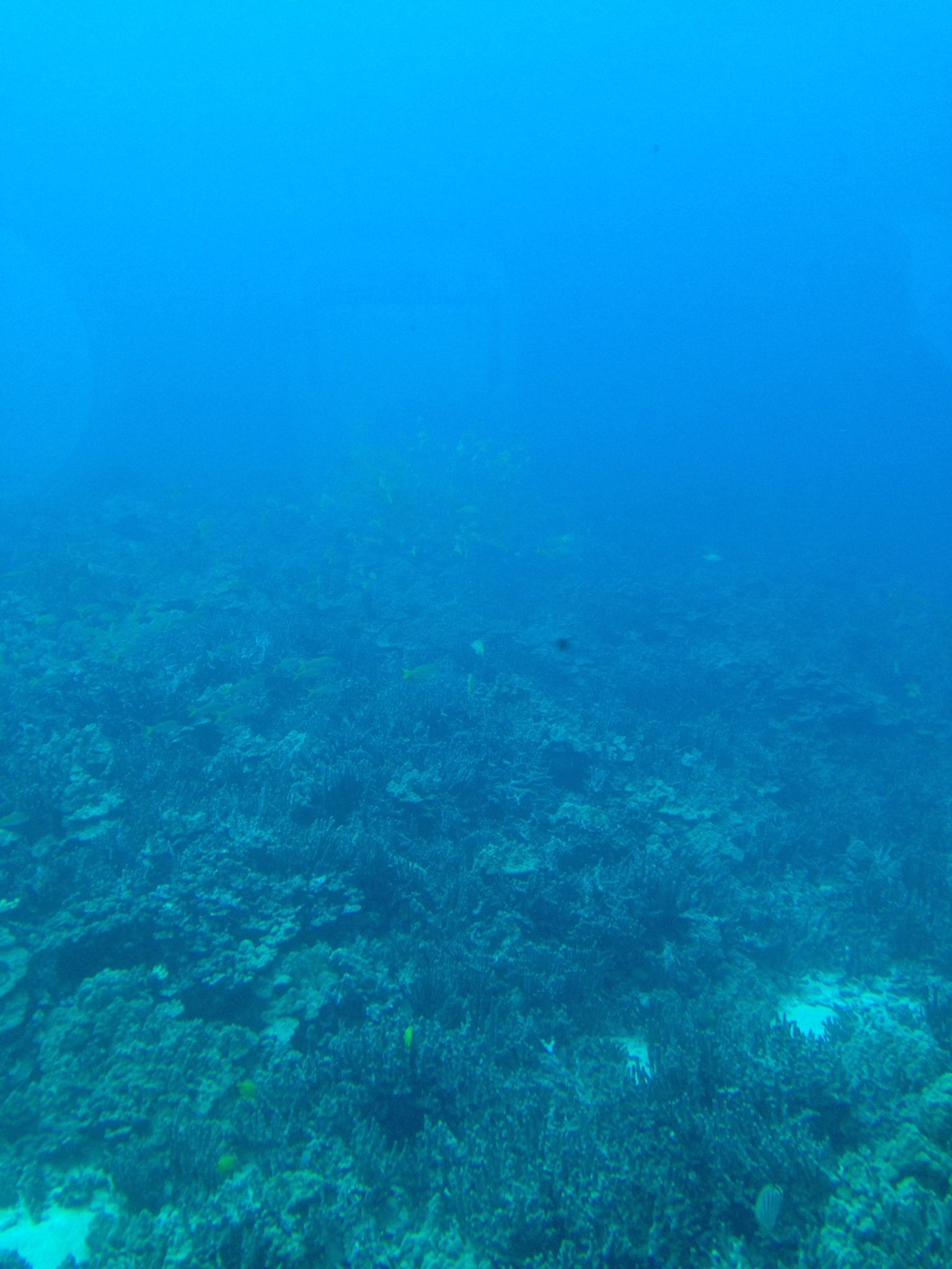 페이트 그랜드 오더 로비 배경음