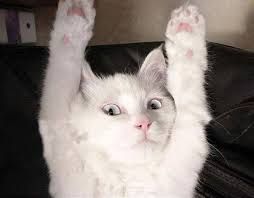 쉬는 시간용 BGM (방송, 즐거움)