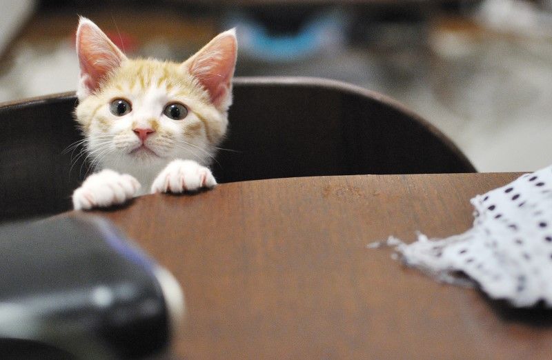 마음이 따뜻해지는 피아노 BGM (따뜻, 피아노)