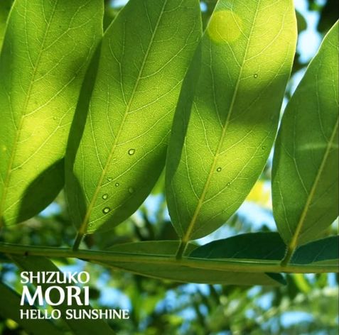 모닝콜로 쓰기 좋은 피아노 BGM (행복, 피아노)