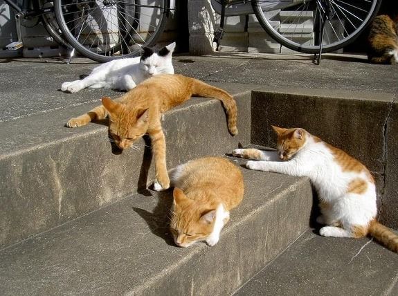 혼자서 끄적일때 쓰기 좋은 방송용 BGM (일상, 방송)