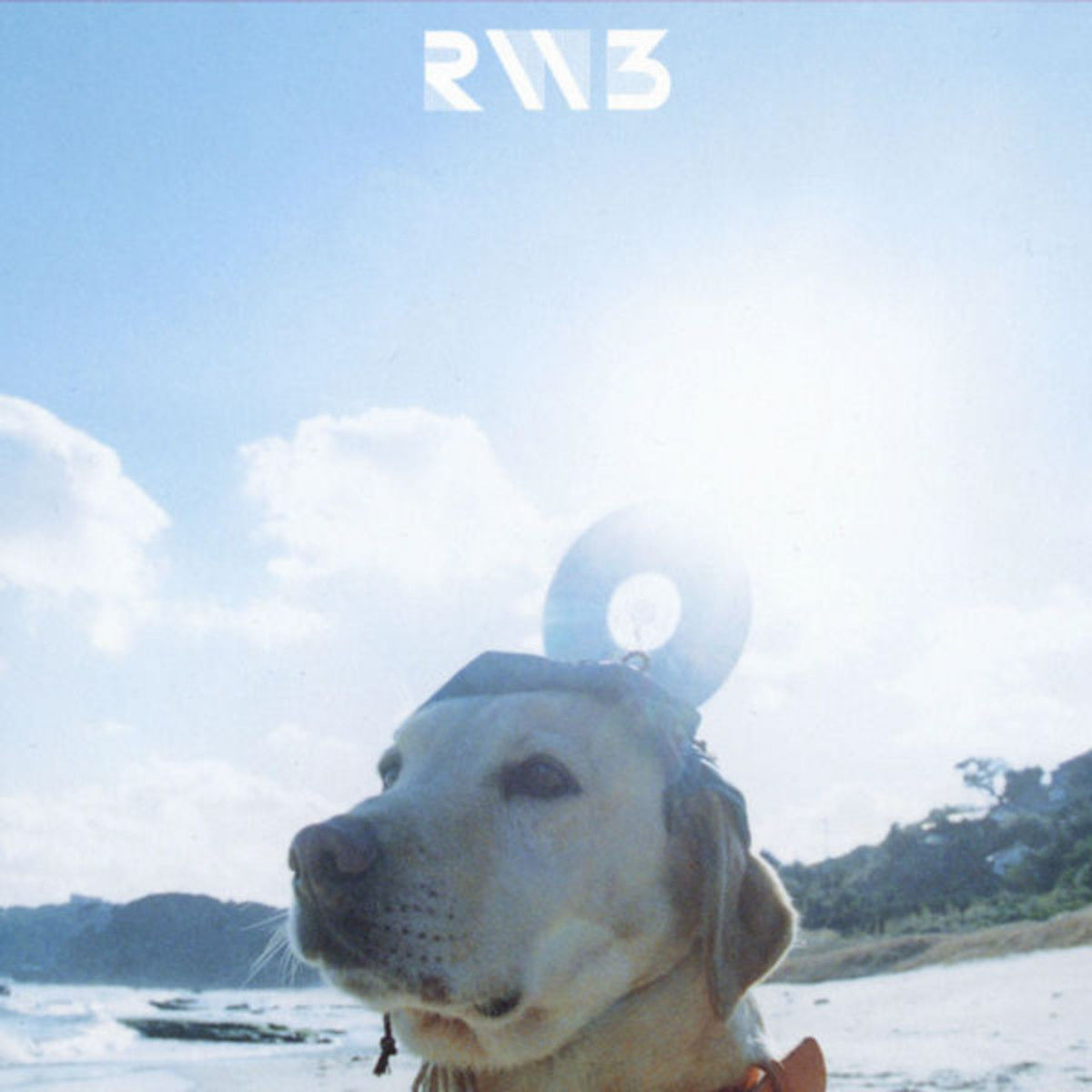 RADWIMPS - 螢 반딧불 (평화, 희망, 애절, 쓸쓸, 아련)