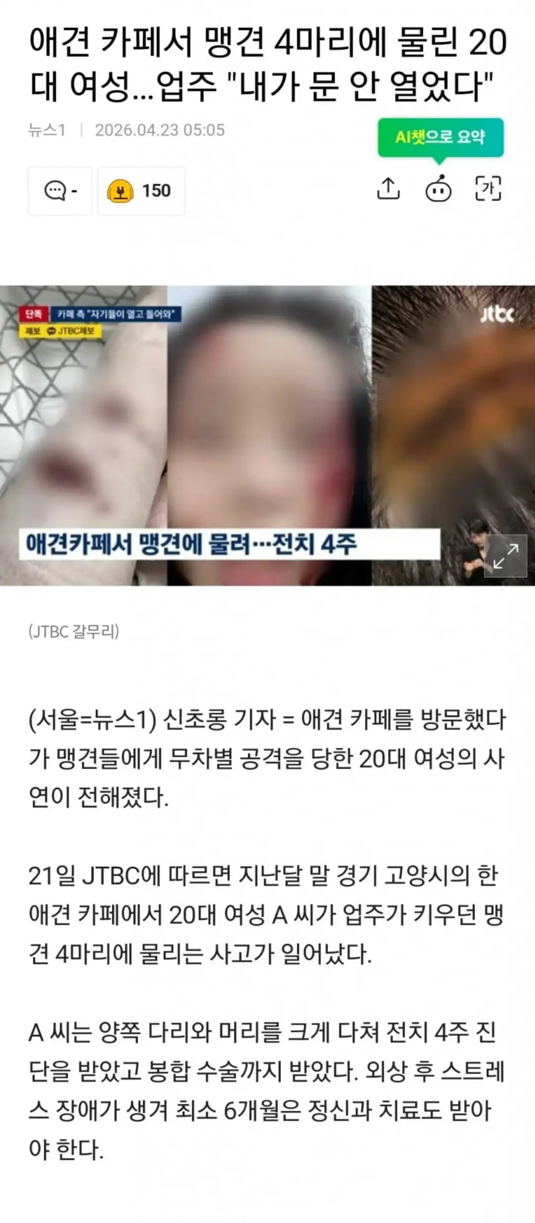 애견카페에서 맹견 4마리한테 물린 여성