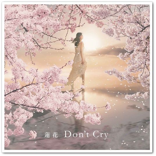 蓮花 (렌카) - Don’t Cry
