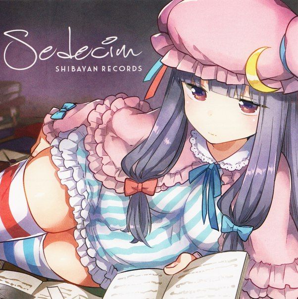 【東方ボーカル】 「モノクロ インザナイト (CYTOKINE remix)」 【ShibayanRecords】 (동방어레인지)