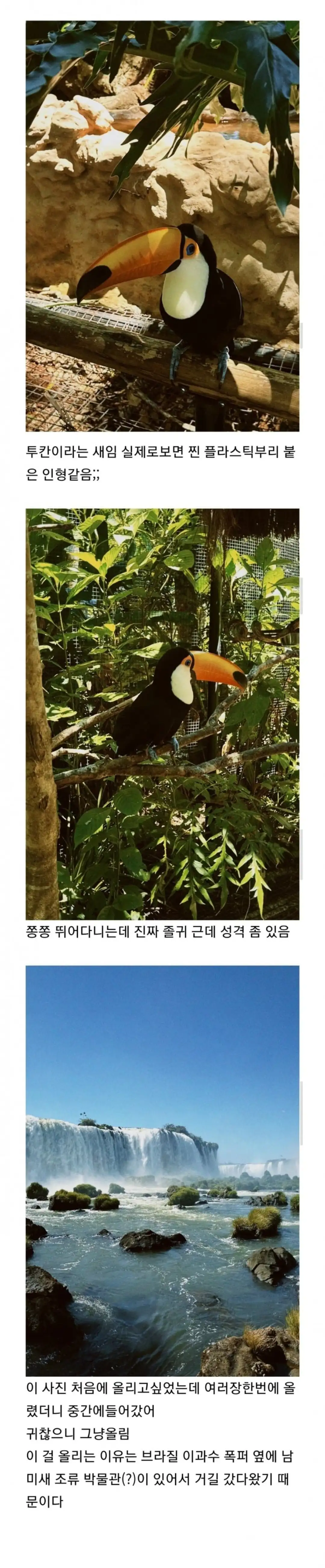 펌) 남미새 본 후기