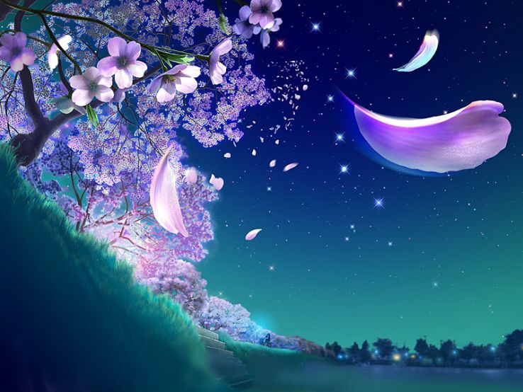 낙화 ( 落花 ) - 떨어지는 꽃 서월