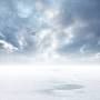 the white horizon