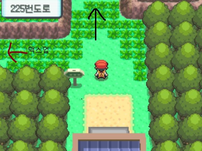 포켓몬스터 다이아몬드 펄 플라티나(D P PT)-225,226번도로(흥겨움 활기 당당)