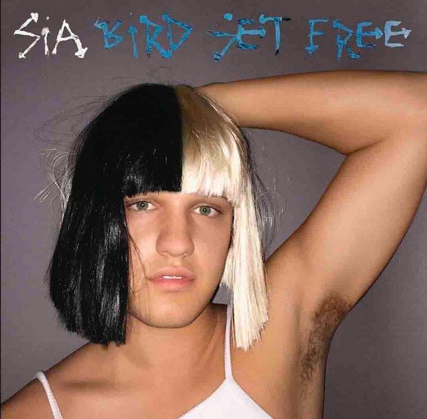 Sia - Bird Set Free (애잔,슬픔,쓸쓸,애절,진지)