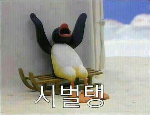 솓밥이