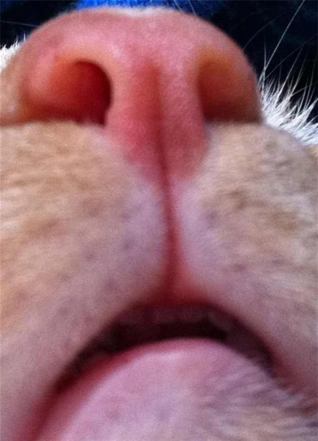 꾸준한잉여