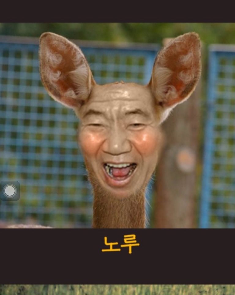 로운지