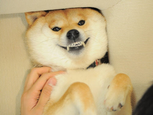 김검사