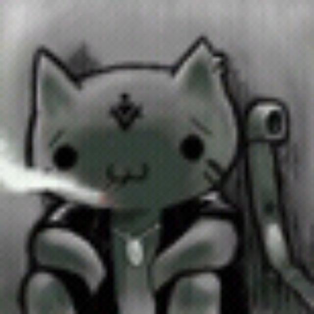 Boss Cat