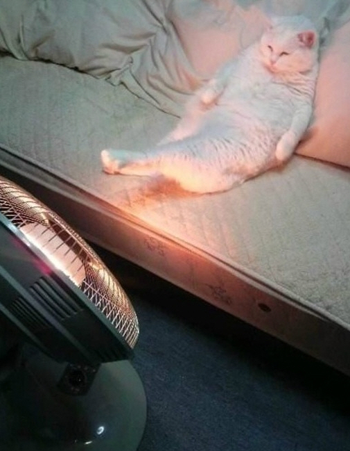 우워어