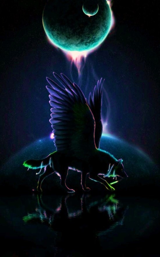 Night wolf