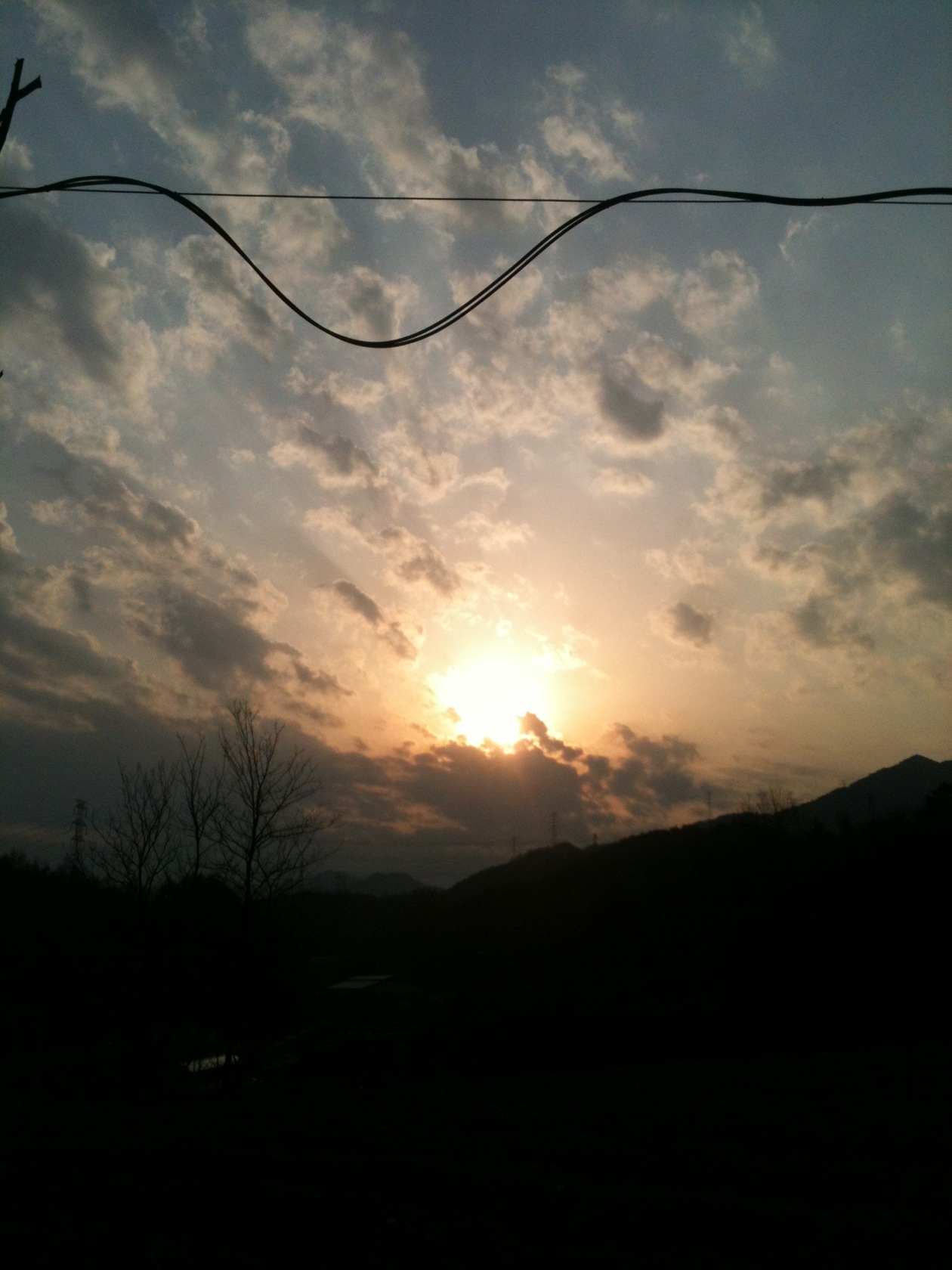 팥앙금