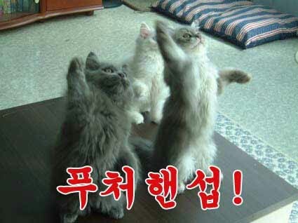 백설이와 함께