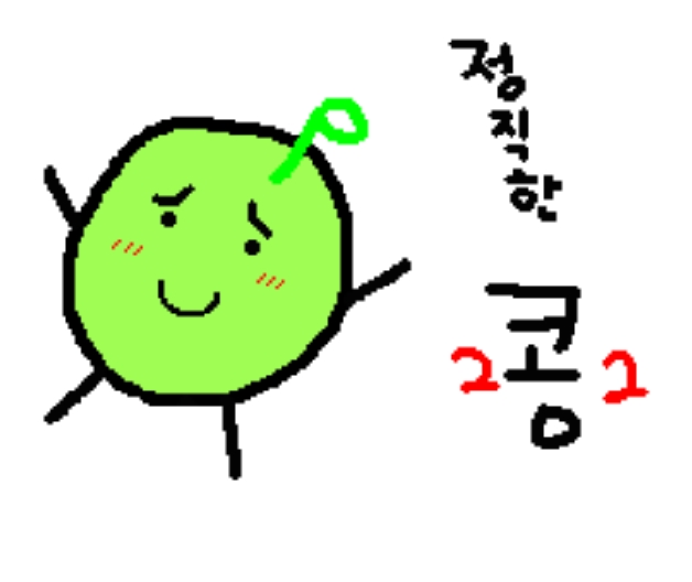 정직한콩