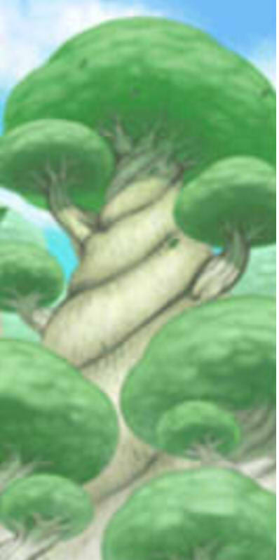 근사짱