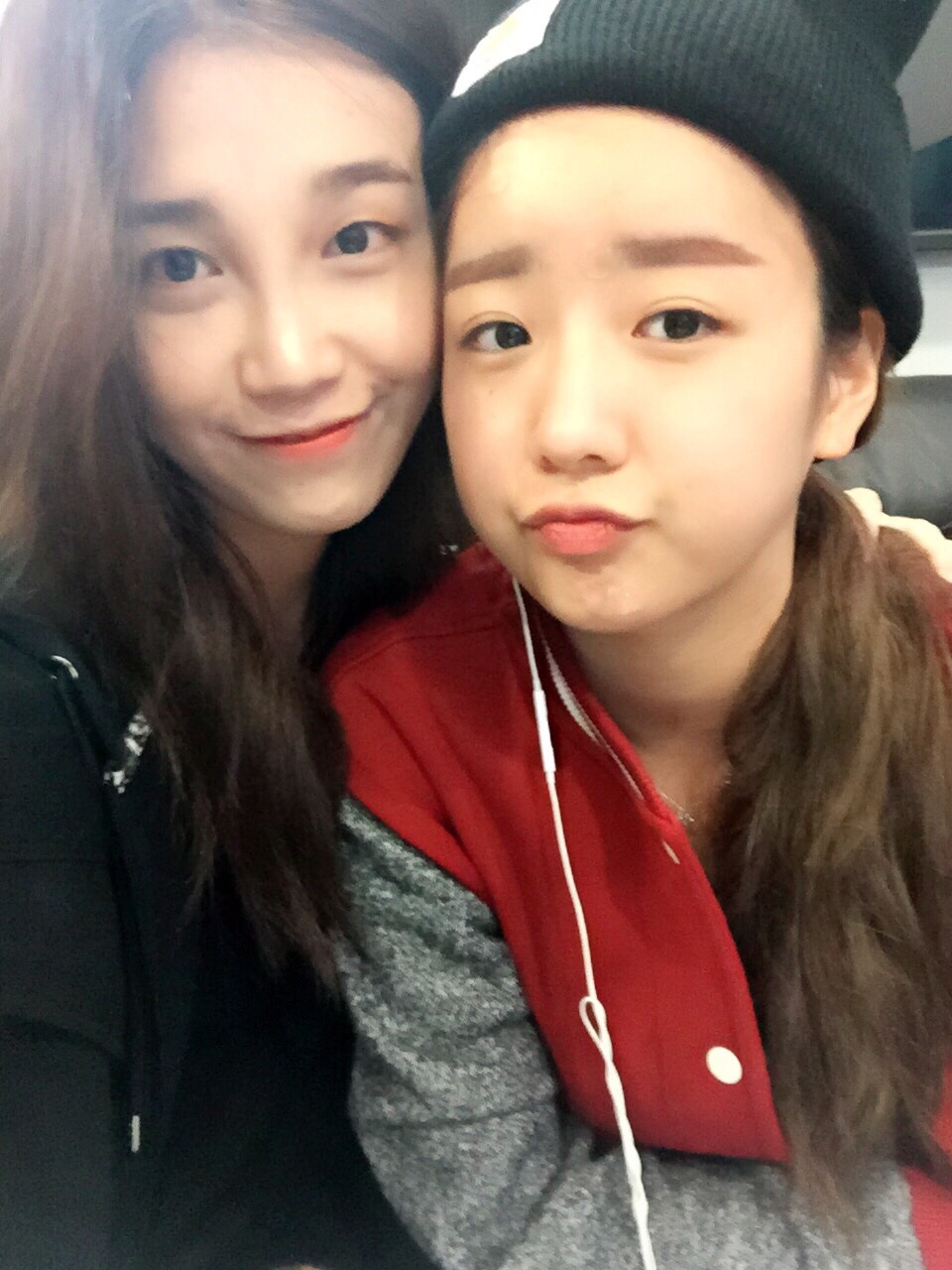 진돗개12312