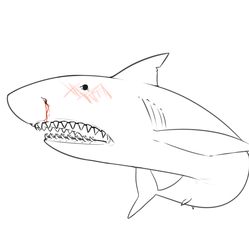 NaRuga
