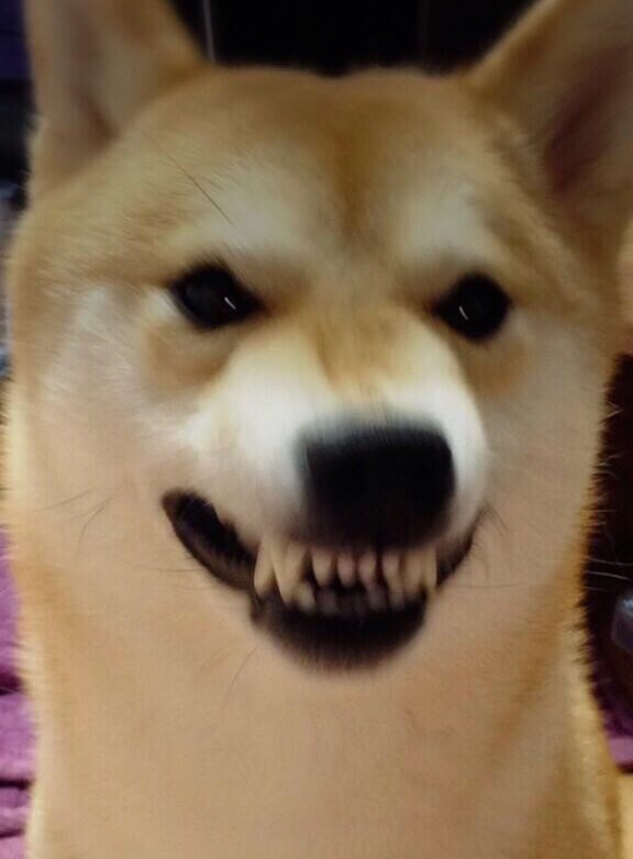 WHYB
