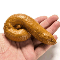 231323113 배너