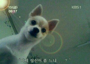 우리모두안생겨요