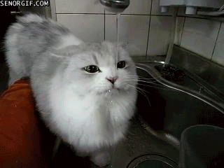 qpowjdjna