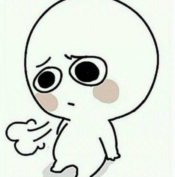 보더콜리트리버