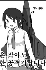 F-15K 슬램이글