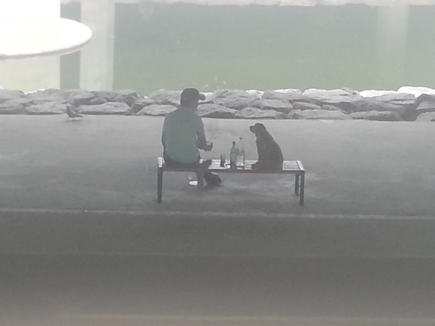 이동하자