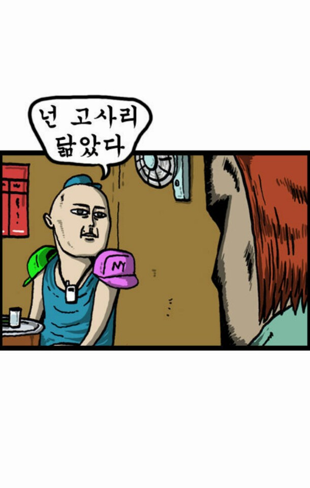 반괴