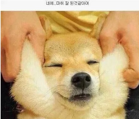 qpqpdeq