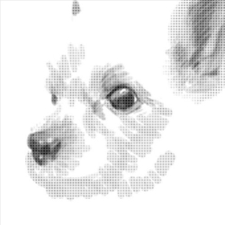 LIMITEDOG