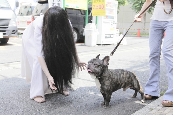 데빌캐럿
