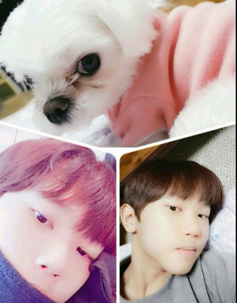 슈가_플레넷