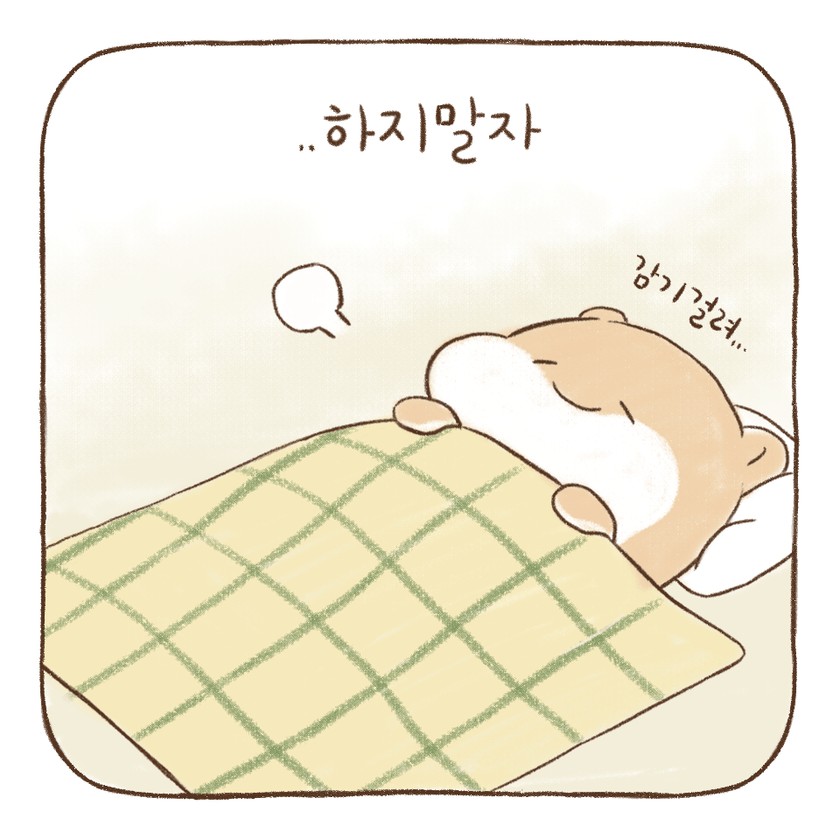 세라톤♡