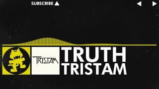 [유튜브 뒤지다 한번즈음 들어봤을법한 BGM] Tristam - Truth(일렉트로니카 일렉트로) (즐거움 흥겨움 잔잔 긴박 긴장 진지 감동 클럽 비장 애잔 활기 웅장 신남 경쾌 흥함)