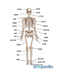 심심할때 들으면 좋은 브금