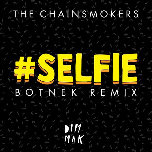 The Chainsmokers - #Selfie (Botnek Remix) (신남)