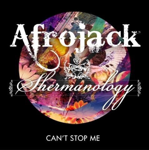 Can't Stop Me (Radio Edit) - Afrojack & Shermanology (신남, 장엄, 즐거움, 흥겨움, 활기, 경쾌, 클럽)