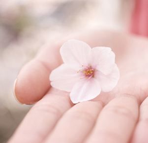 먼데이모닝 - 벚꽃보러가요 의 간주(평화, 희망, 동심, 순수, 행복, 경쾌)