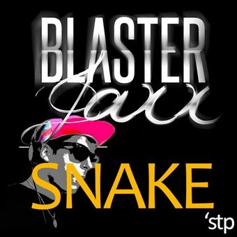 Snake - Blasterjaxx - Remake by me (신남 비트)